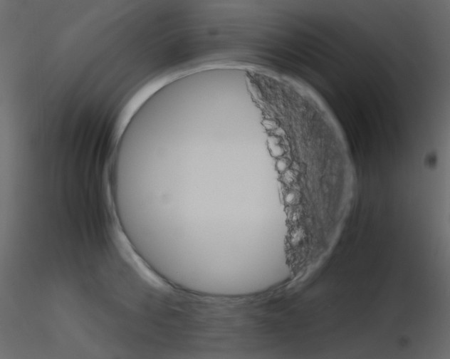 X0000115700812200912241521