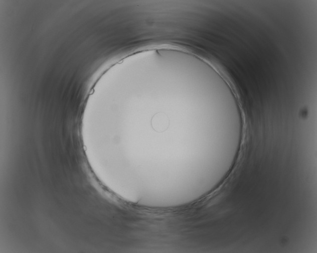 X0000115700813200912241521