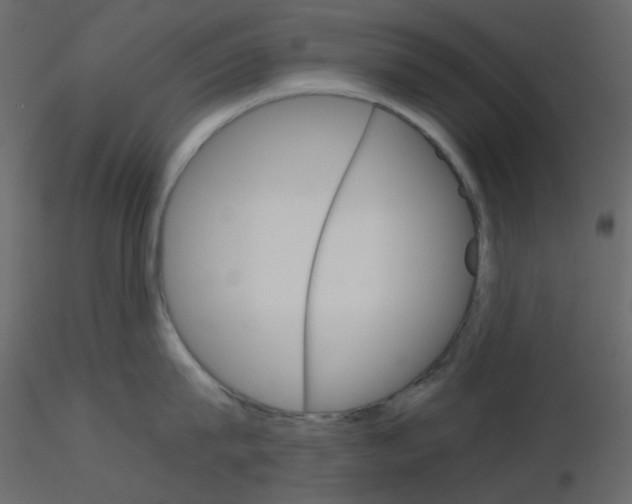 X0000115700815200912241521