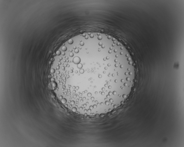 X0000115700819200912241521