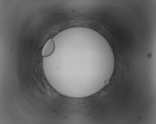 X0000115700820200912241521