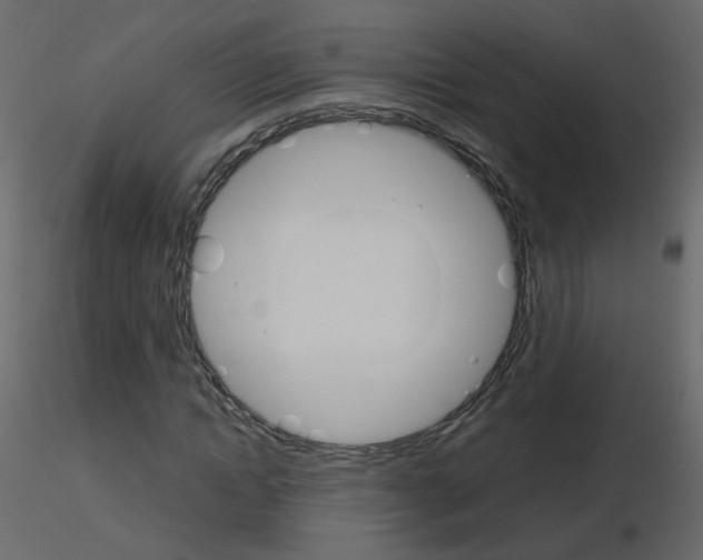 X0000115700822200912241521