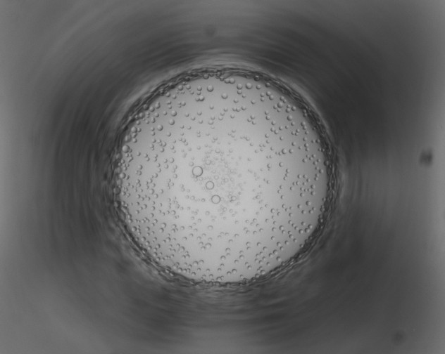 X0000115700823200912241521