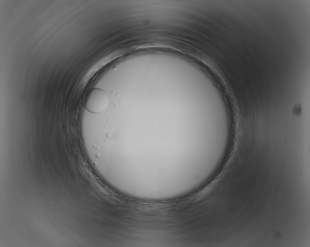 X0000115700826200912241521