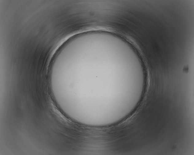 X0000115700828200912241521