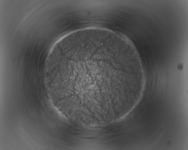 X0000115700831200912241521