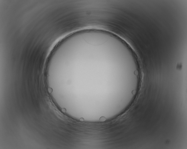 X0000115700832200912241521