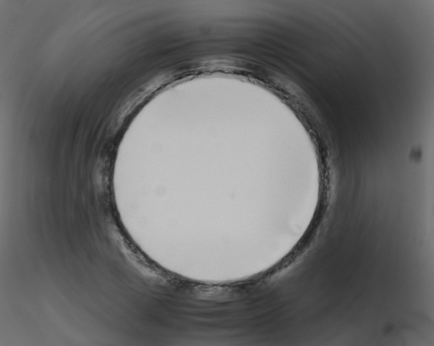 X0000115700833200912241521