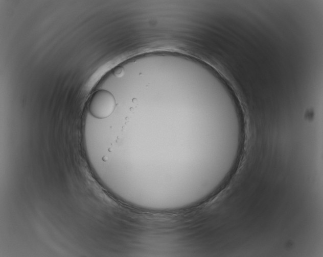 X0000115700834200912241521