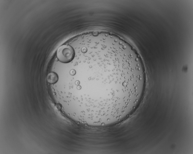 X0000115700835200912241521