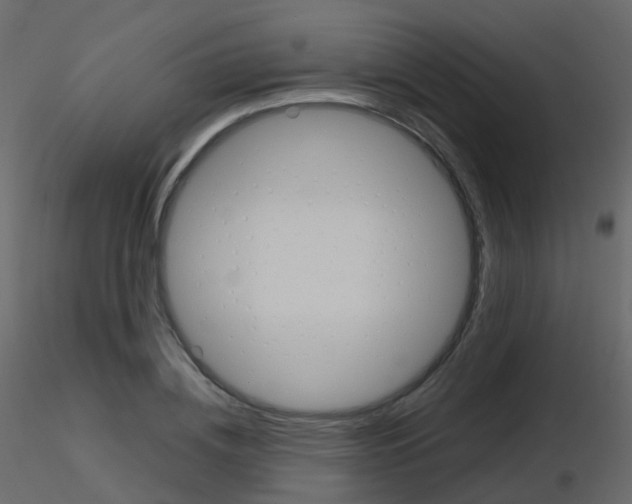 X0000115700836200912241521