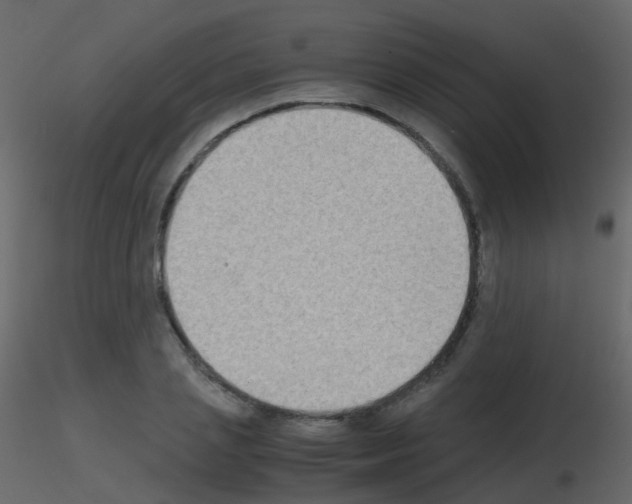 X0000115700837200912241521