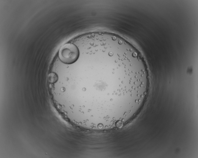 X0000115700839200912241521