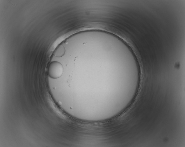 X0000115700842200912241521