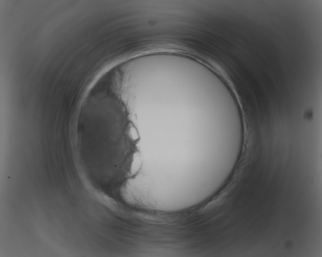 X0000115700843200912241521