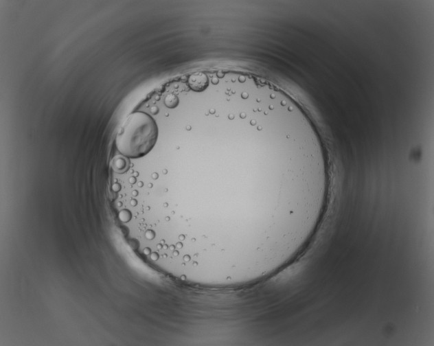 X0000115700844200912241521