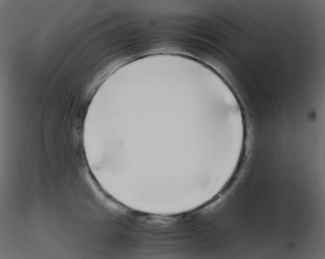 X0000115700849200912241521