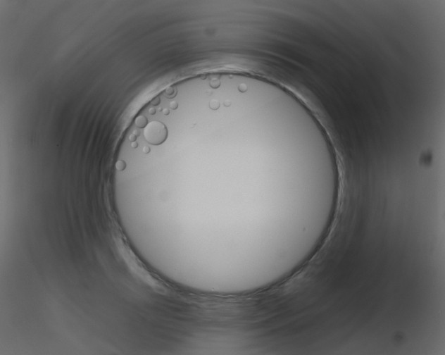 X0000115700850200912241521