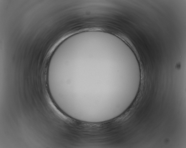 X0000115700851200912241521