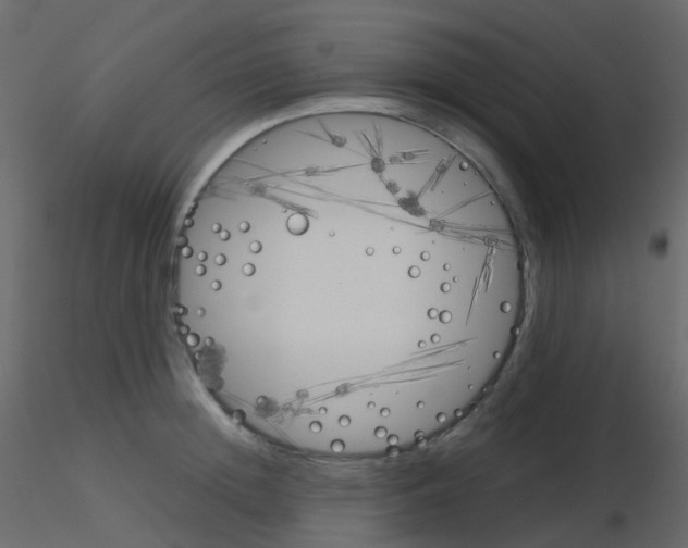 X0000115700852200912241521