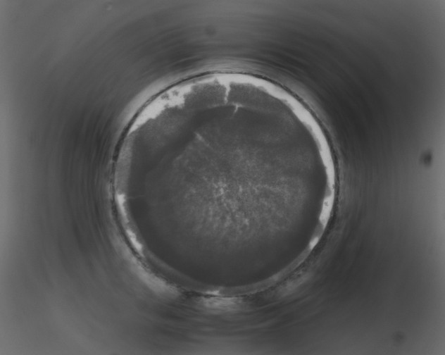 X0000115700853200912241521