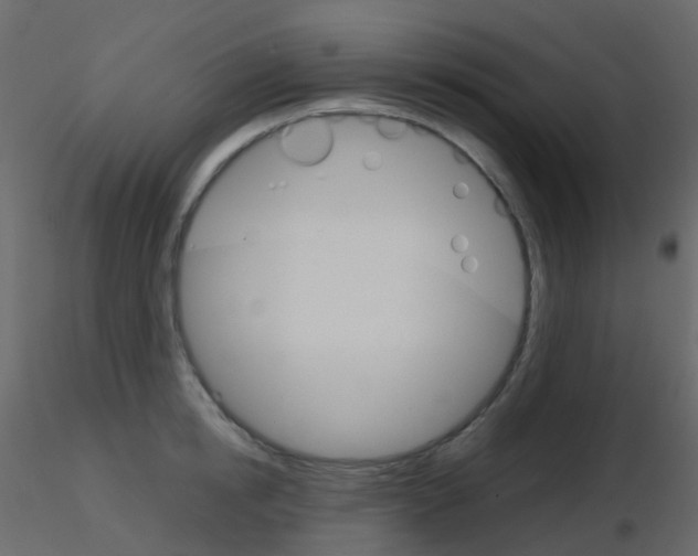 X0000115700854200912241521