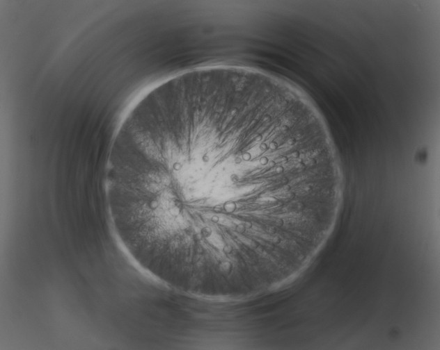 X0000115700855200912241521