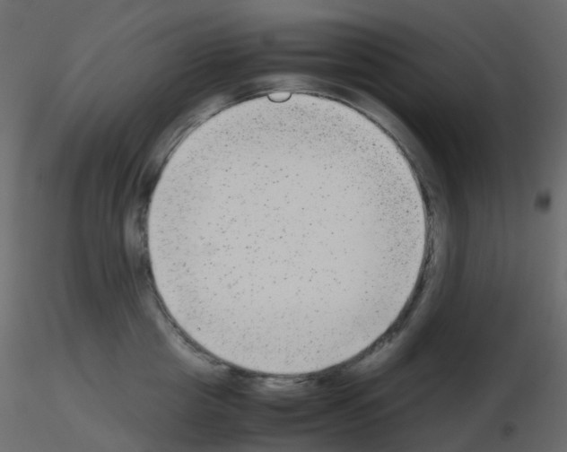 X0000115700857200912241521