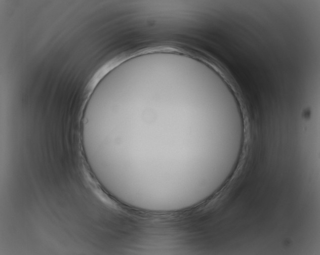 X0000115700858200912241521