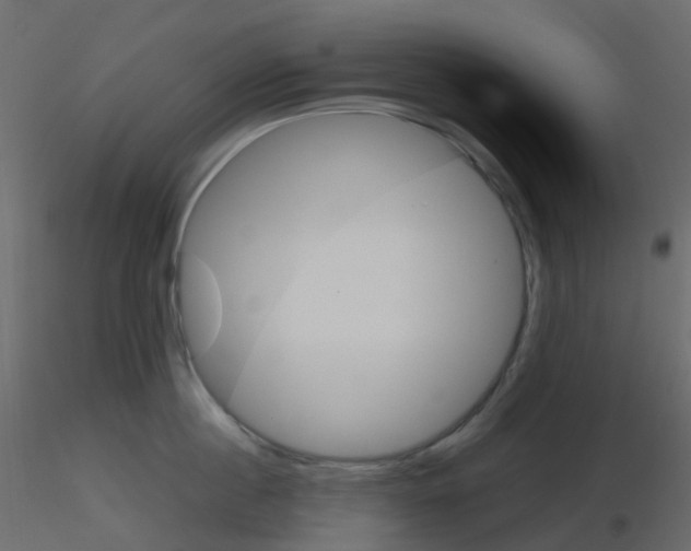 X0000115700860200912241521