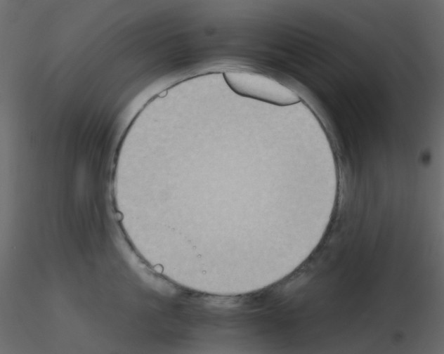 X0000115700861200912241521