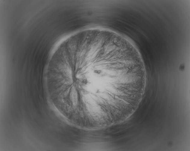 X0000115700863200912241521