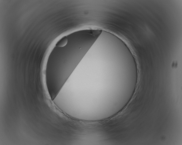 X0000115700864200912241521