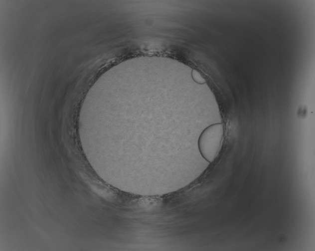 X0000115700865200912241520