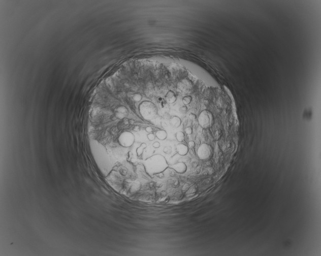 X0000115700867200912241520