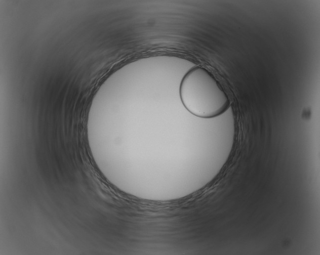 X0000115700868200912241520