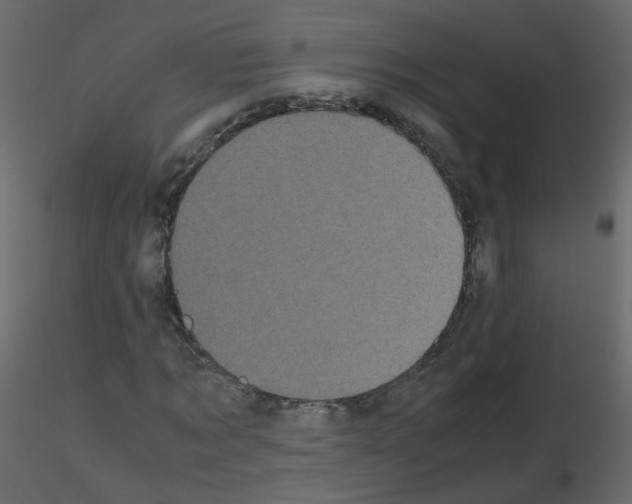 X0000115700869200912241520