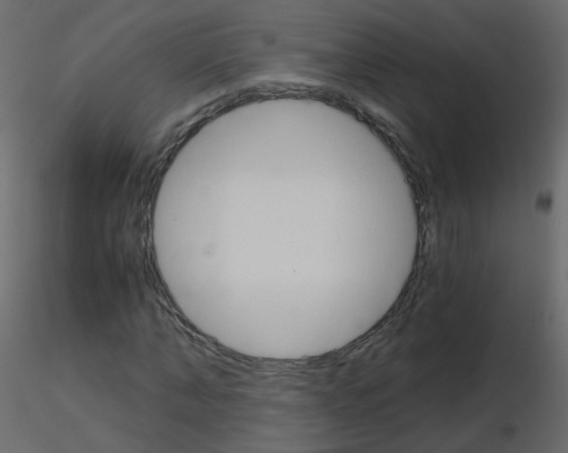 X0000115700870200912241520