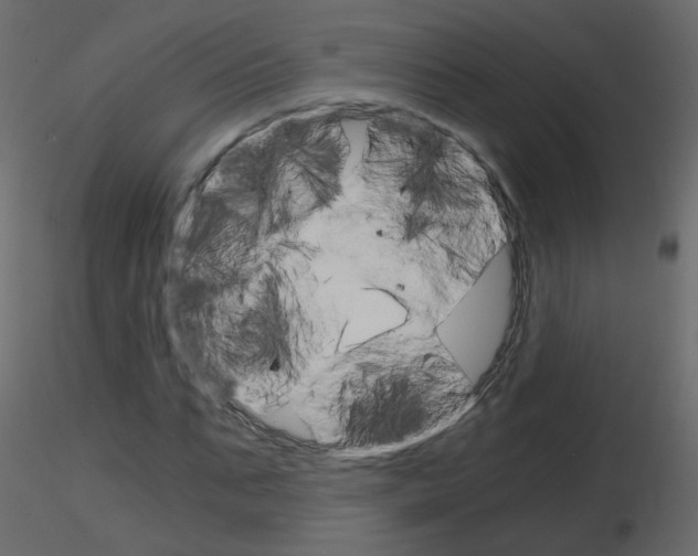 X0000115700871200912241520