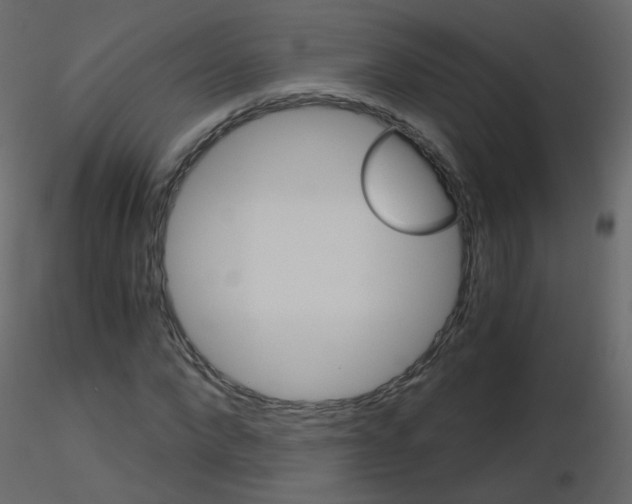 X0000115700872200912241520