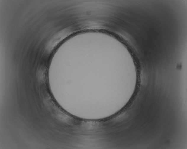 X0000115700873200912241520