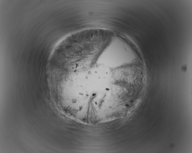 X0000115700875200912241520