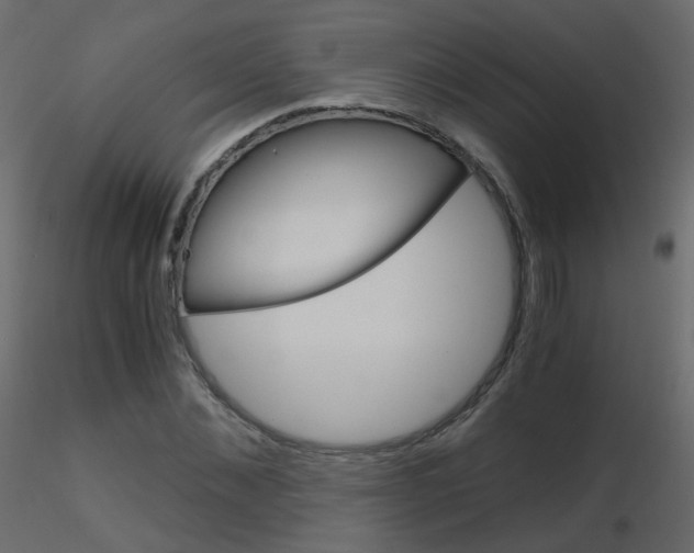 X0000115700876200912241520