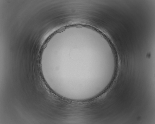 X0000115700877200912241520