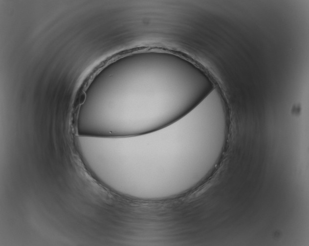 X0000115700880200912241520