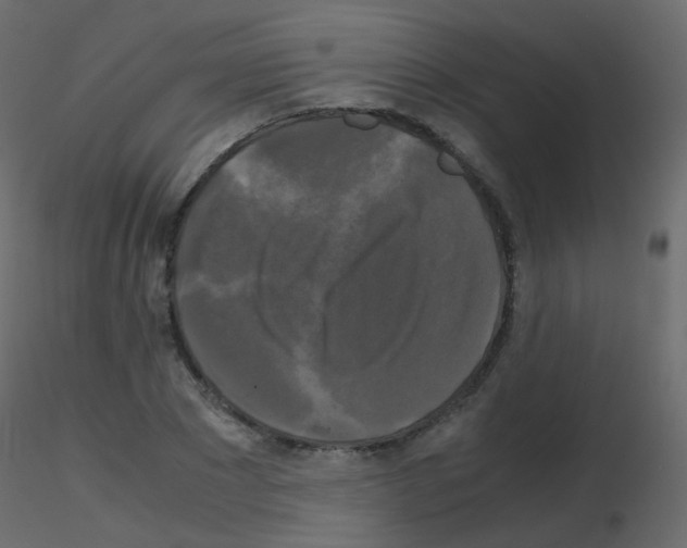 X0000115700881200912241520