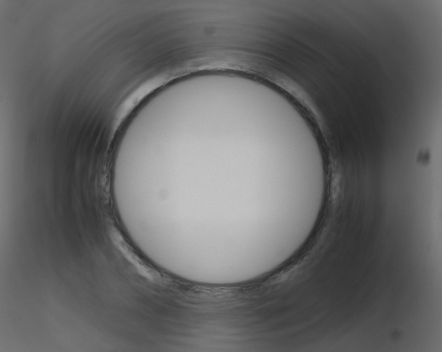 X0000115700882200912241520