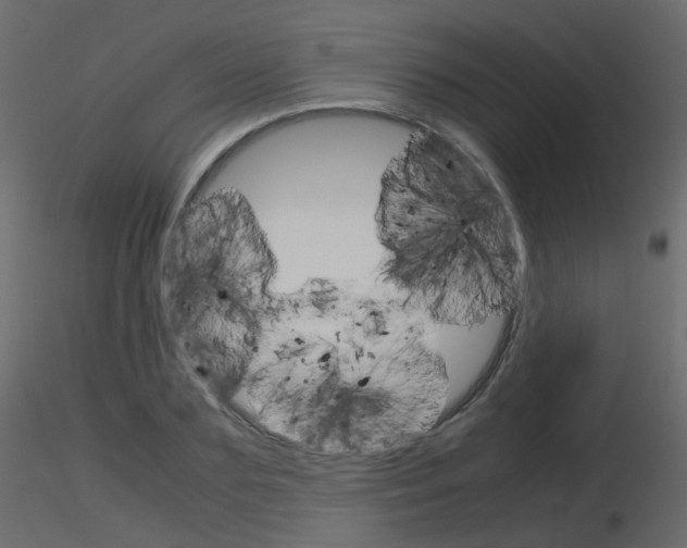 X0000115700883200912241520