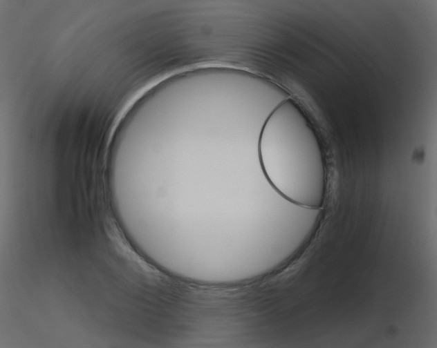 X0000115700884200912241520