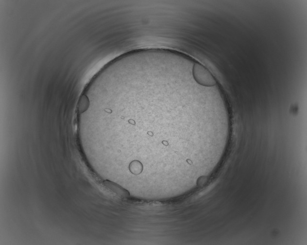 X0000115700885200912241520